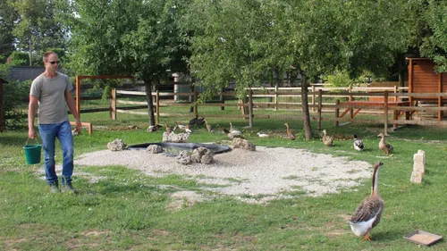 La ferme pédagogique rebondit grâce à vos dons.