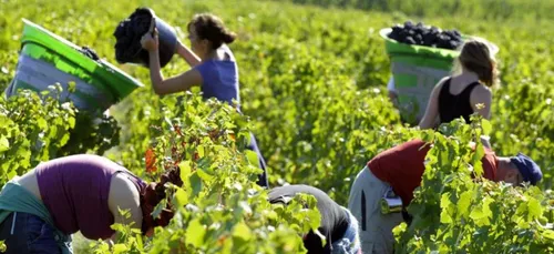 Direction la gare d’Épernay pour travailler dans les vignes