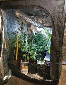 razzia sur la chnouf