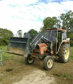 Un gendarme va nourrir les vaches d'un agriculteur interpellé
