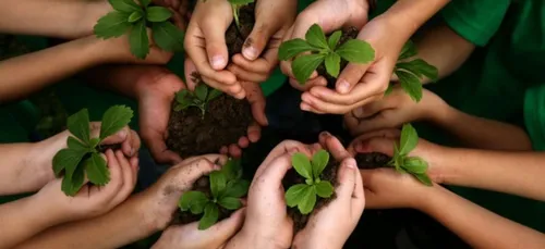 Qui accueillera la forêt Champagne FM?