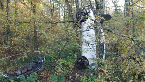Une voiture débout contre un arbre