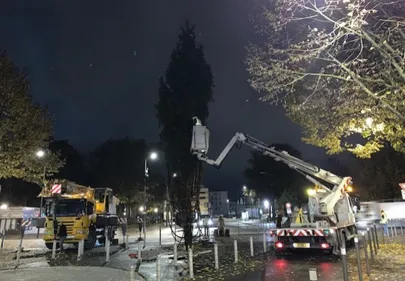 Le grand sapin est arrivé à Reims