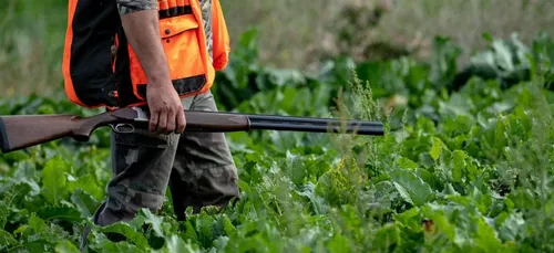 Un chasseur tué lors d’une battue