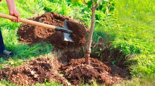 Les Sparnaciens ont la fibre écolo