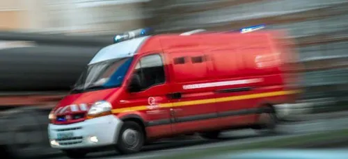 Il n'a malheureusement pas survécu