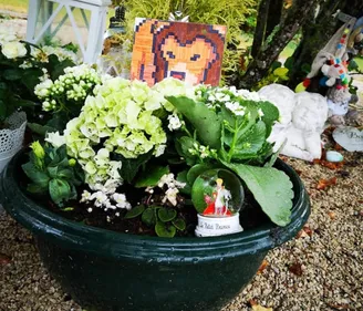 A Reims, la colère et l'incompréhension de familles endeuillées