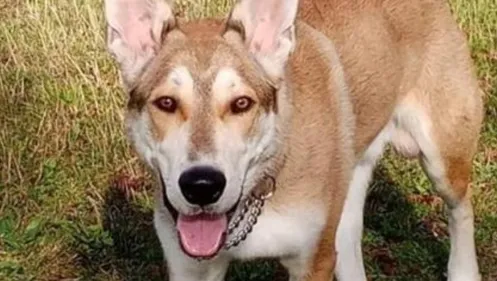 Appel de la famille après le drame de Chouilly