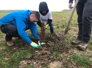 La première forêt Champagne FM est née
