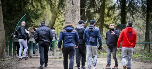 Un corps sans vie retrouvé lors d'une battue