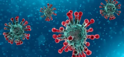 Coronavirus : point de situation dans le Grand Est