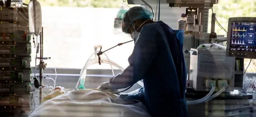 Importante surmortalité dans l'Aisne et la Marne