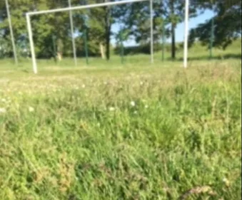 Le sport en stand-by