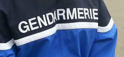 Double tentative d'enlèvement d'enfants