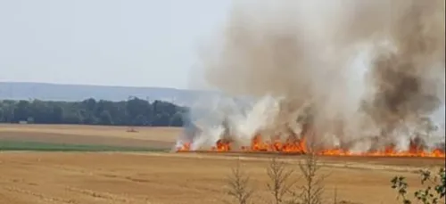 Les premiers feux de champs arrivent