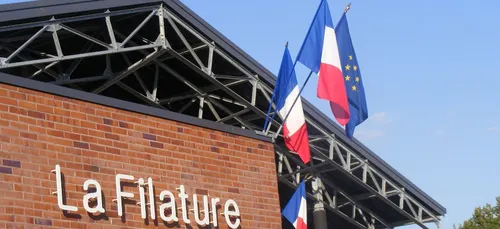 Un petit ciné en plein air ?