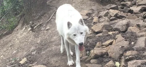 A l'aventure au parc Argonne Découverte