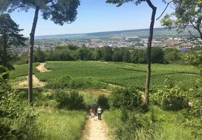 Epernay en vision panoramique