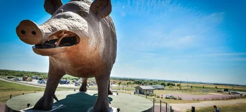 Venez fêter l'anniversaire de Woinic