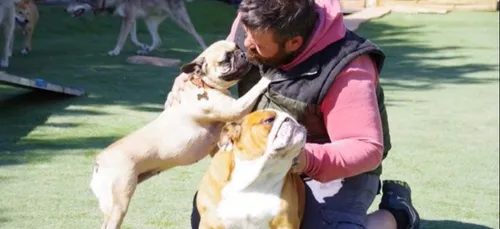 Élan de solidarité pour sauver la Wouaf Wouaf à Reims