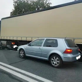 Un chien errant provoque un accident