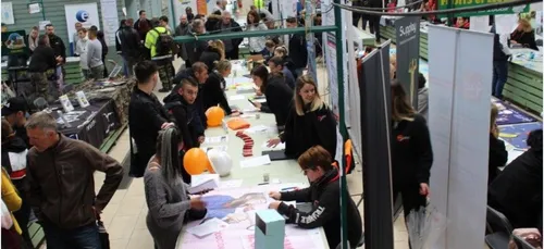 A la pêche à l'emploi