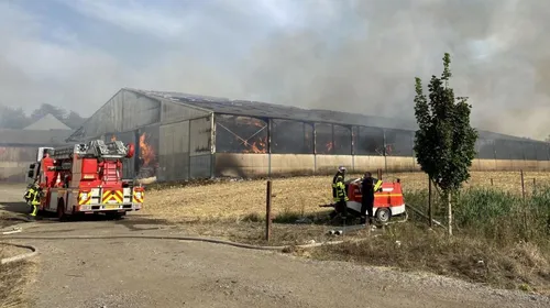 Une exploitation agricole ravagée par les flammes