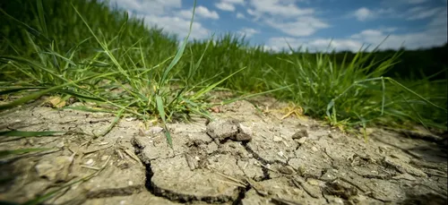 Nouvelle alerte à la sécheresse dans la Marne