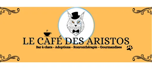 Bientôt un bar à chats à Epernay