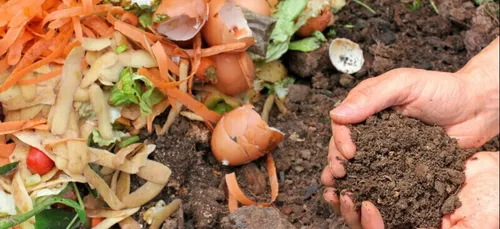 Le compost gratuit est de retour dans les déchetteries ardennaises