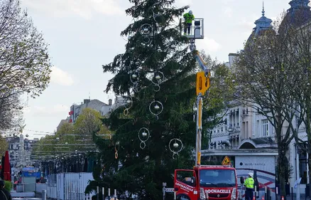Le sapin de Noël est arrivé sur la place d'Erlon à Reims