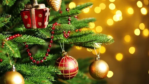 Coronavirus, le fil actu du mardi 17 novembre