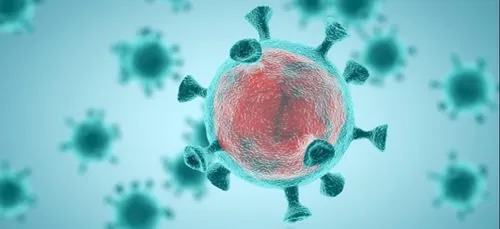 Covid 19 : le fil actu du jeudi 19 novembre