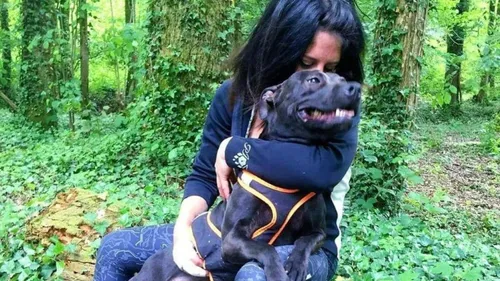 Curtis, un coupable idéal ?