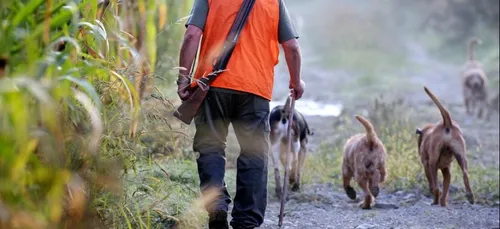 Deux jours par semaine sans chasse en Champagne-Ardenne ?