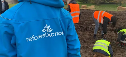 Une micro-forêt plantée à Epernay
