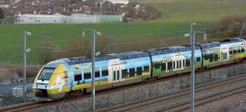 TER et bus gratuits dans le Grand Est pour se faire vacciner