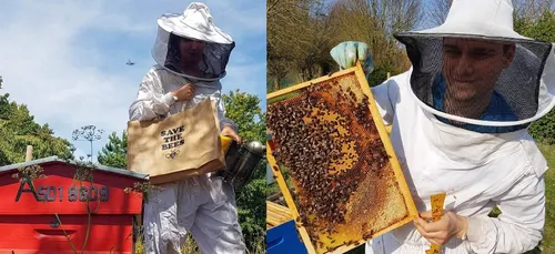 Amour et abeilles...