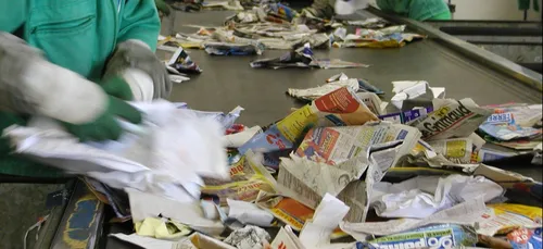Ardennes : une tête de chevreuil retrouvée sur une chaine de tri