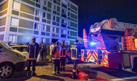 Elle n'a malheureusement pas survécu à ses blessures