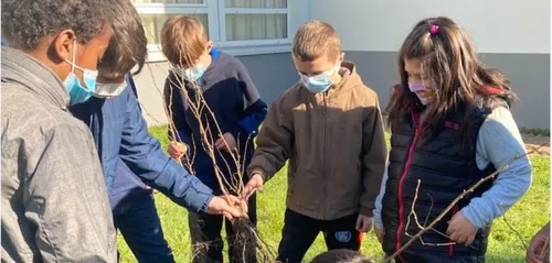 Les écoliers ont la main verte