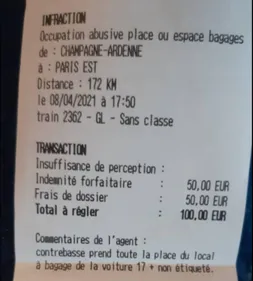 Elle reçoit une amende dans le train à cause de sa...contrebasse