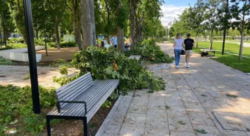 Reims ferme ses parcs, squares et jardins