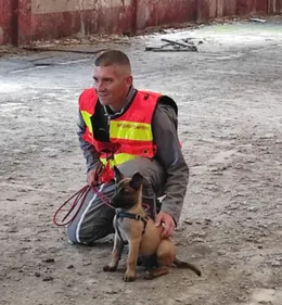 Des chiots sachant chercher