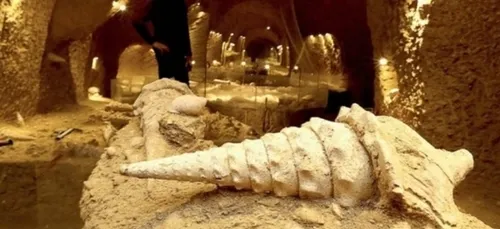 Carte Postale : Champagne FM vous emmène à la Cave aux Coquillages