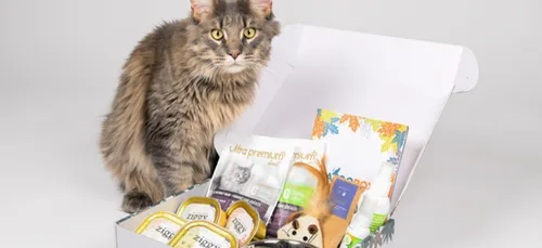Les chats aussi ont droit à leur box mensuelle