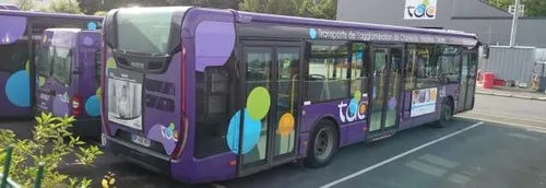 Les bus carolos à l'arrêt