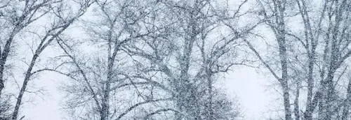 La Champagne-Ardenne en alerte jaune neige et verglas jusque jeudi