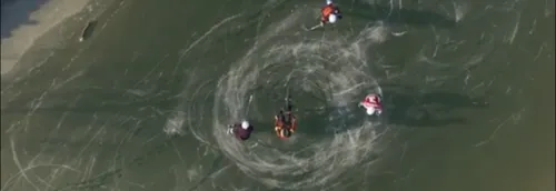 Session de glisse sur le canal de Reims