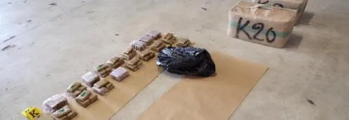 Saisie de plus de 300 kilos de cannabis dans la Marne
